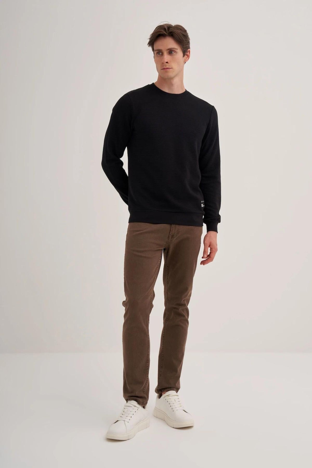 Solid Crewneck Cotton Blend Regular Fit Sweatshirt