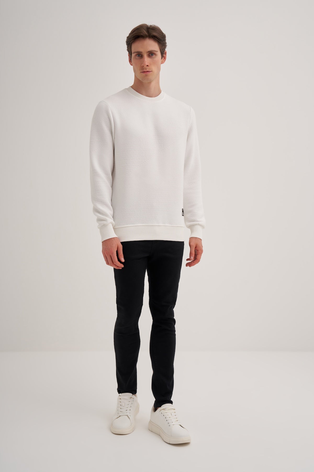 Crew Neck Textured Fabric Basic Regular Fit Sweatshirt