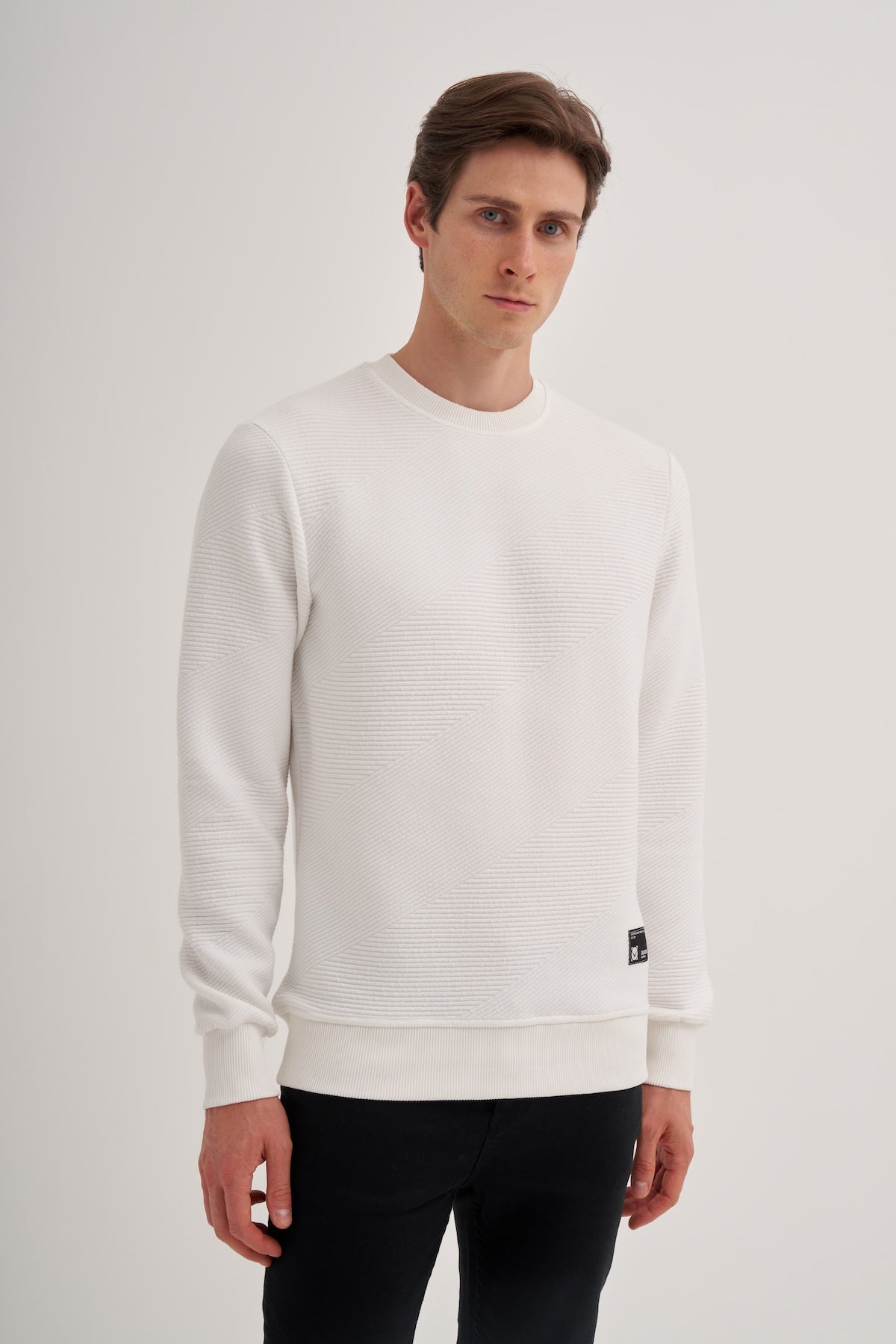 Crew Neck Textured Fabric Basic Regular Fit Sweatshirt