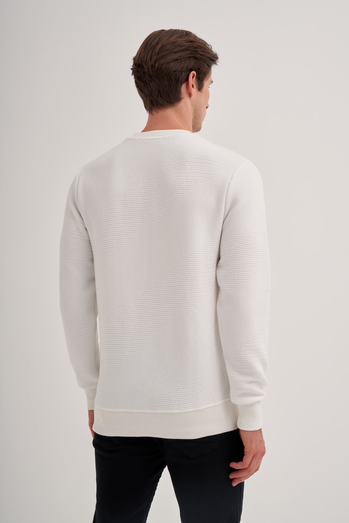 Crew Neck Textured Fabric Basic Regular Fit Sweatshirt