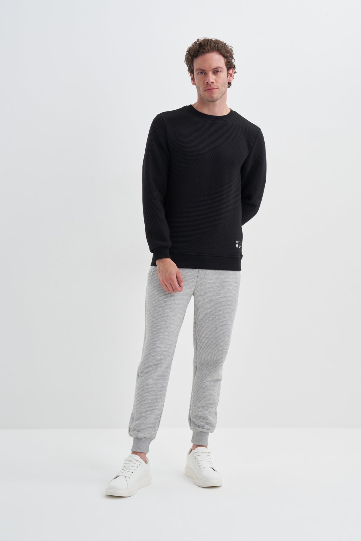 Crew Neck Textured Fabric Basic Regular Fit Sweatshirt