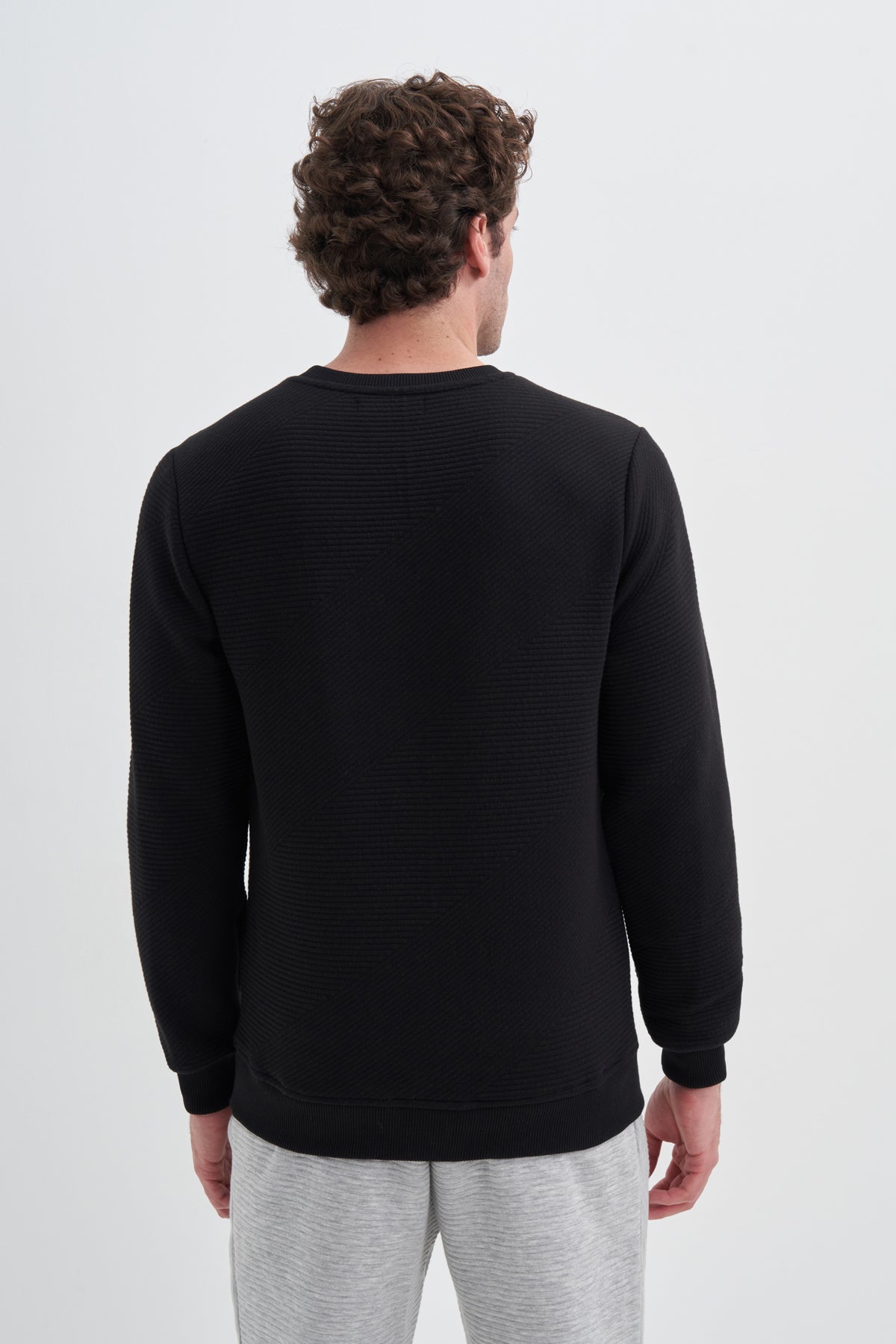 Crew Neck Textured Fabric Basic Regular Fit Sweatshirt