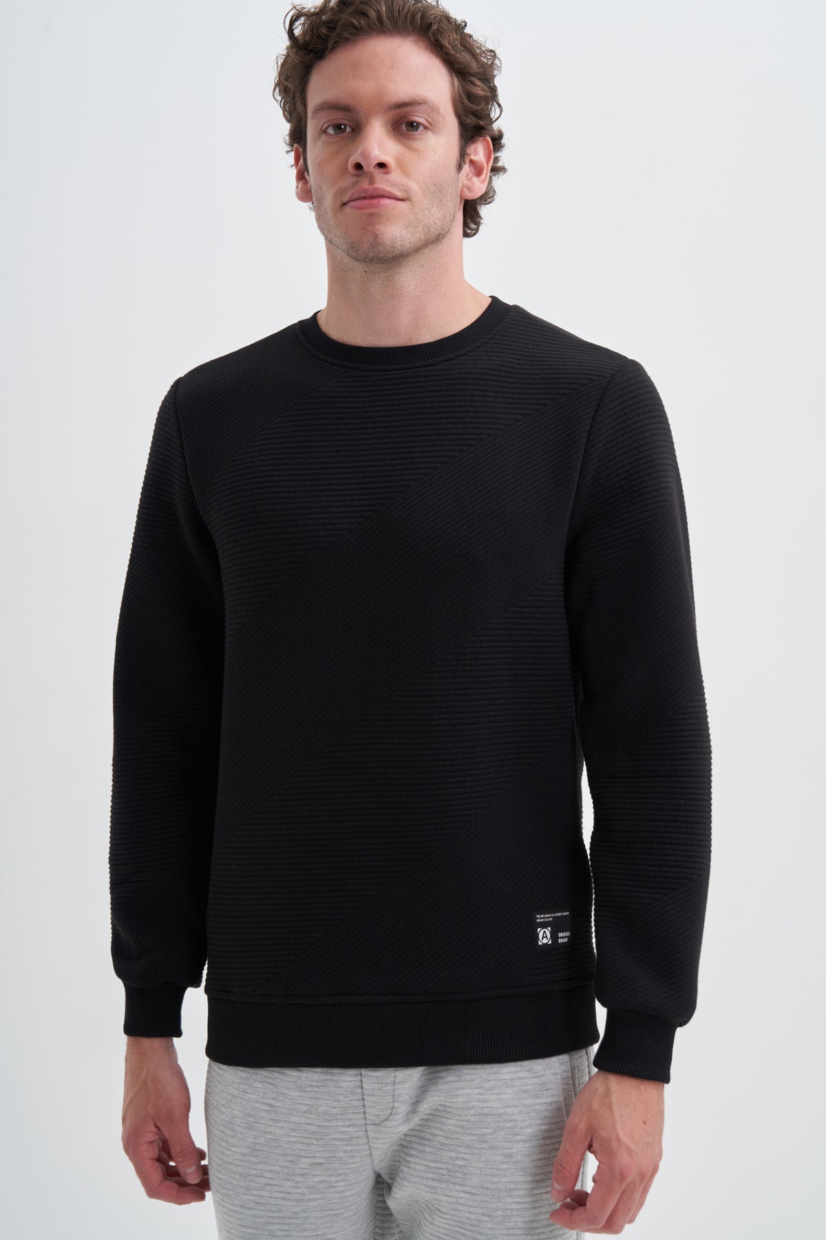Crew Neck Textured Fabric Basic Regular Fit Sweatshirt