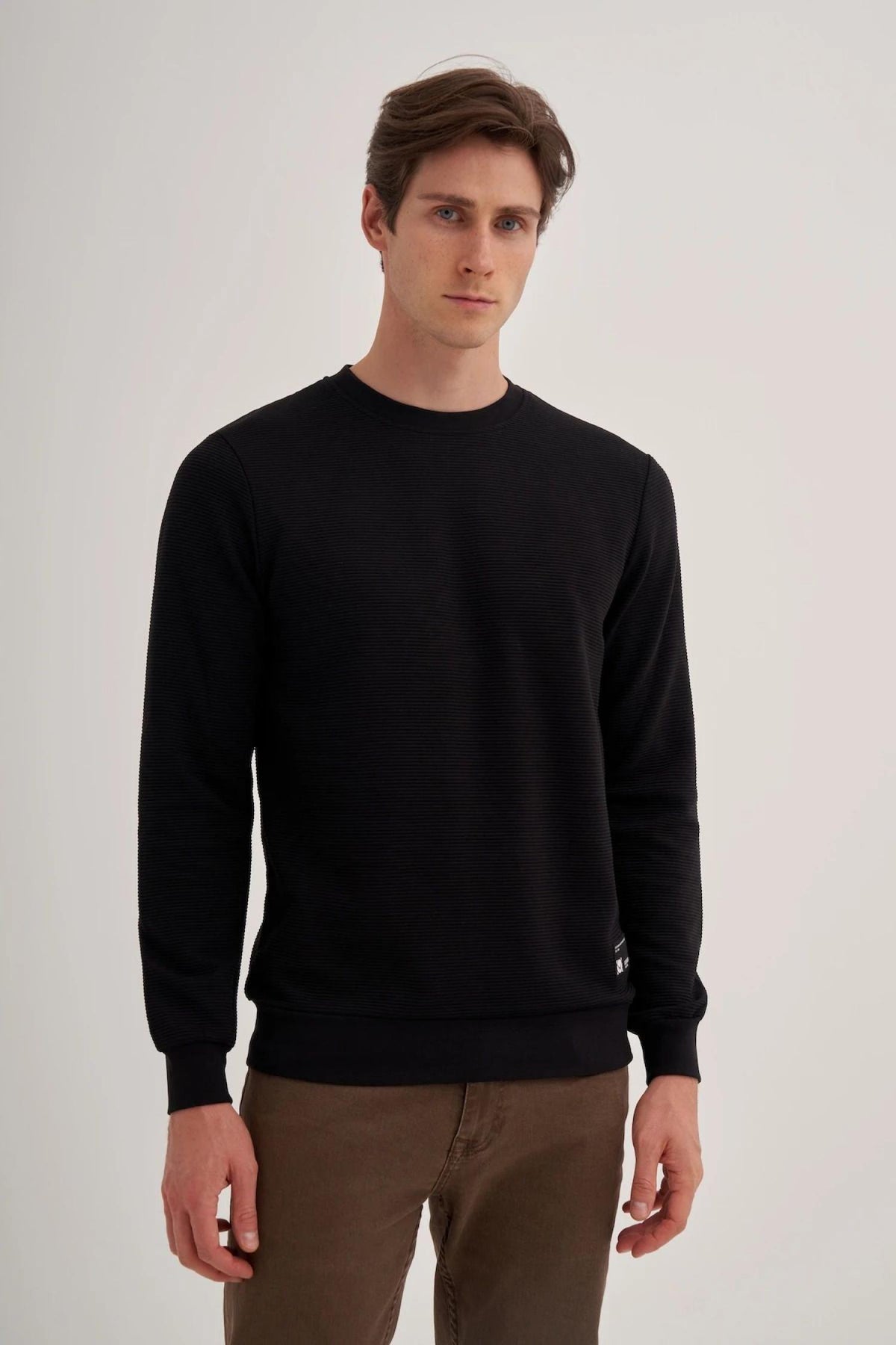 Solid Crewneck Cotton Blend Regular Fit Sweatshirt