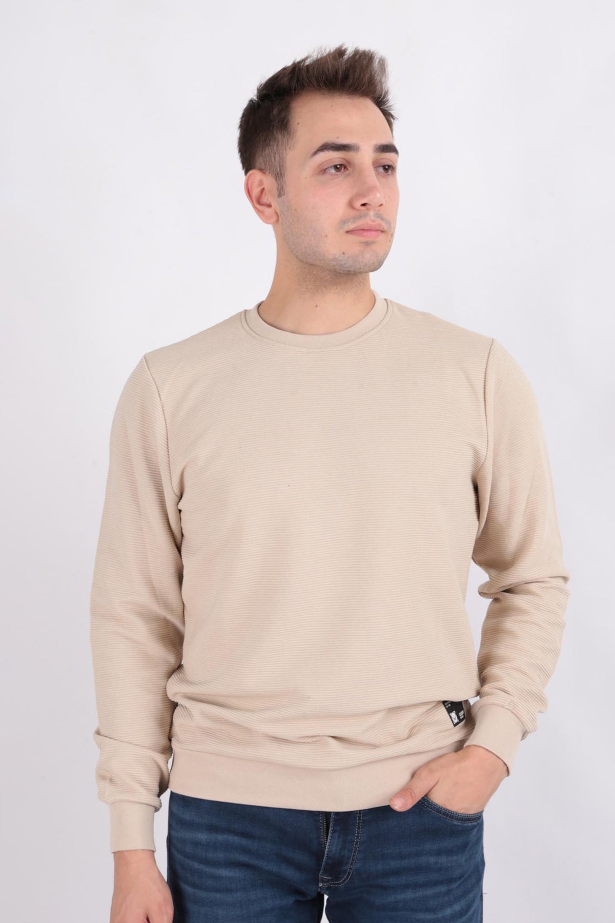 Solid Crewneck Cotton Blend Regular Fit Sweatshirt