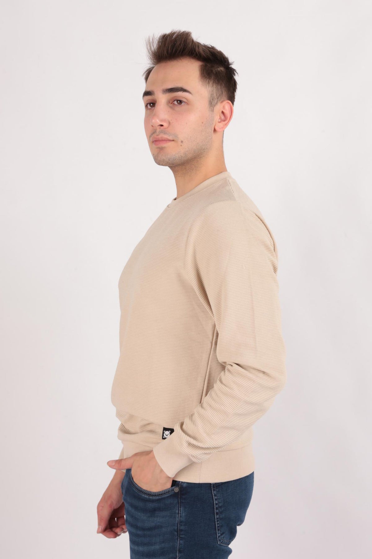 Solid Crewneck Cotton Blend Regular Fit Sweatshirt