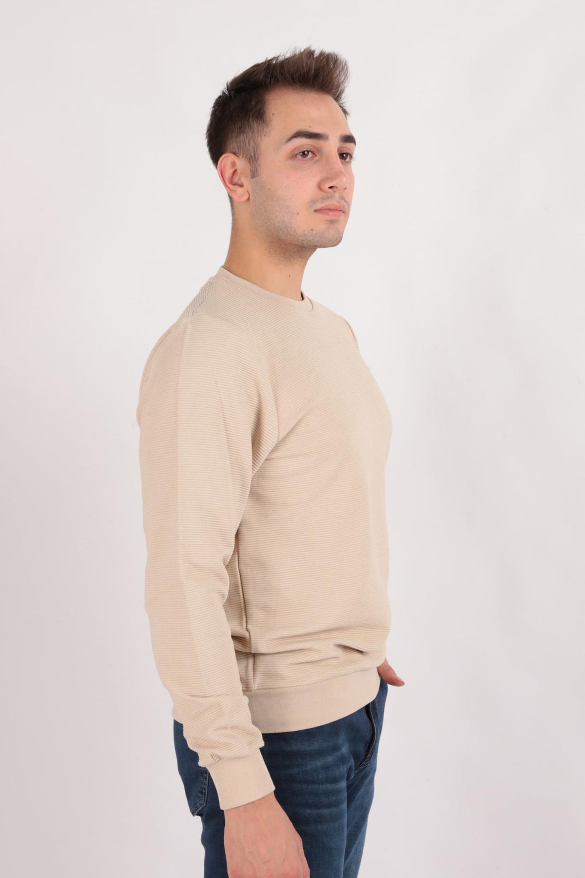 Solid Crewneck Cotton Blend Regular Fit Sweatshirt